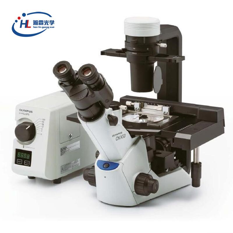 奥林巴斯CKX53倒置显微镜